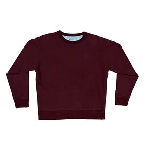 Champion Men's Maroon Sweater